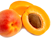 apricot-hunza